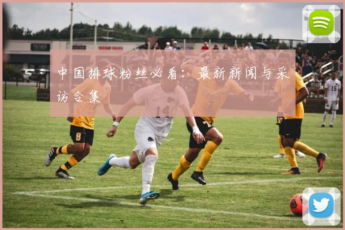中国排球粉丝必看：最新新闻与采访合集