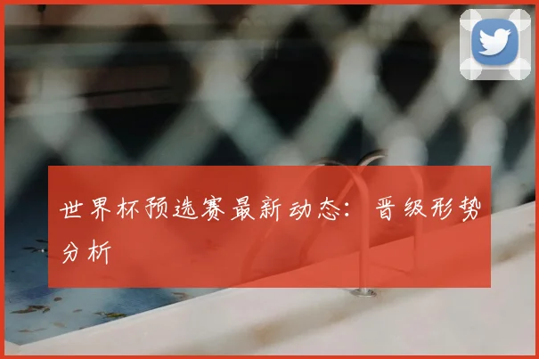 世界杯预选赛最新动态：晋级形势分析